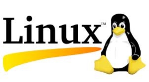 Linux Danışmanlığı